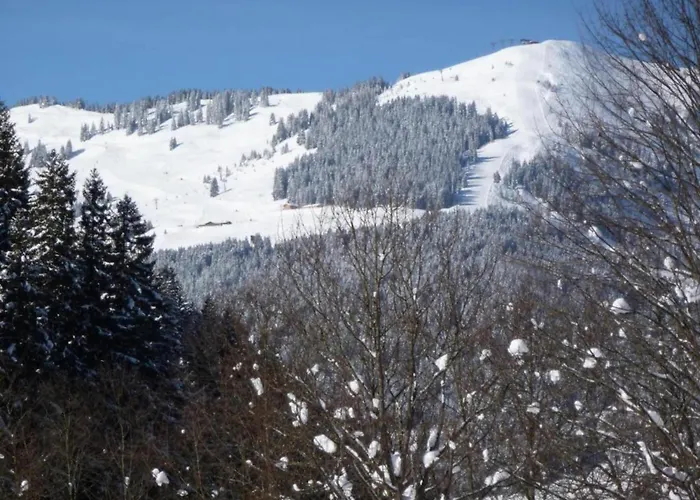 In Near Lift Domek alpejski *