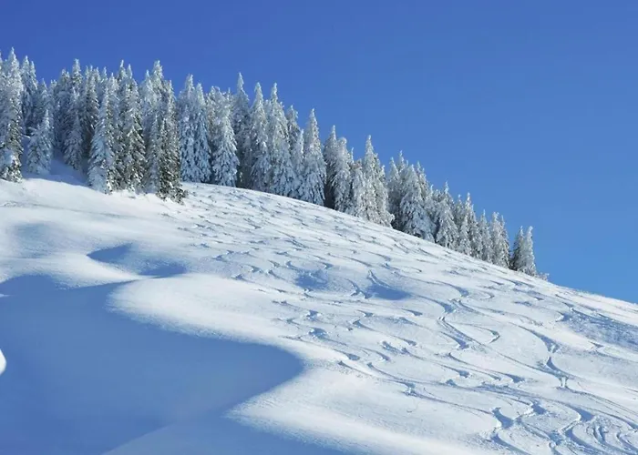 In Near Lift Domek alpejski Saalbach-Hinterglemm