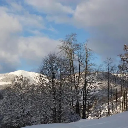 Lovely In Salzburg With Mountain View