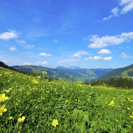 木屋 Lovely In Salzburg With Mountain View *