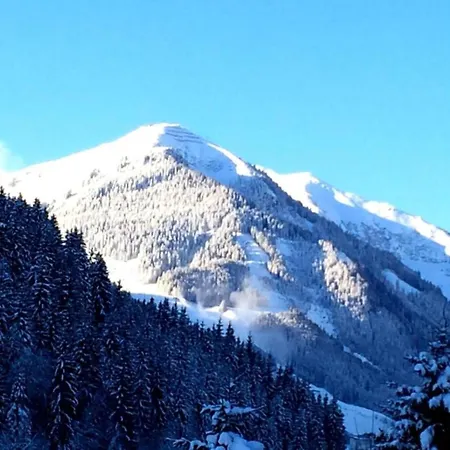 Lovely In Salzburg With Mountain View 木屋
