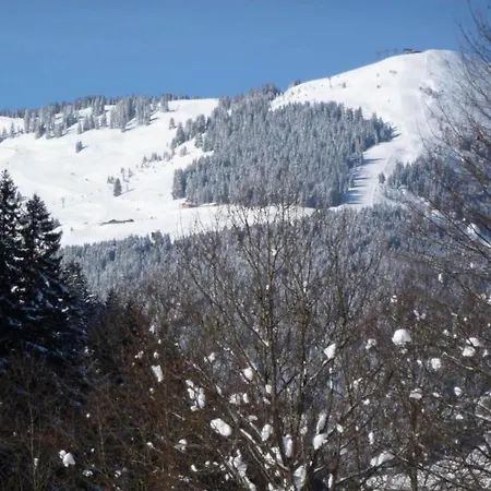 Lovely In Salzburg With Mountain View Chalet *