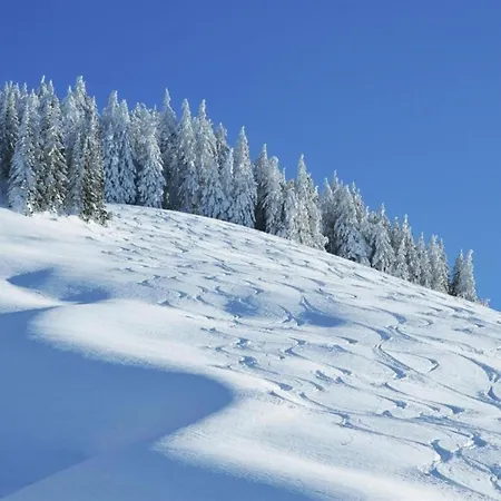 In Near Lift 샬레 잘바흐 힌터글렘